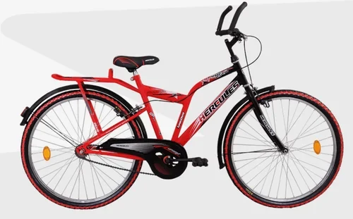Bought my first bicycle
