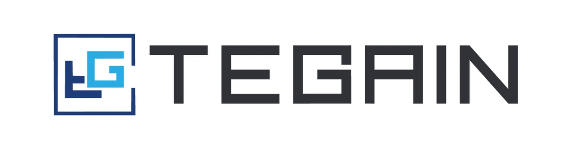Founded Tegain as an IT company